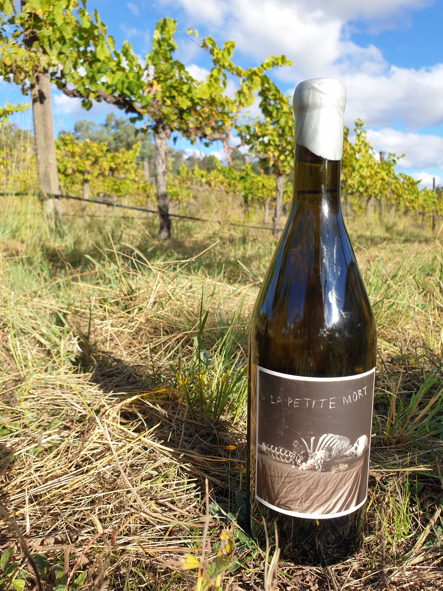 LPM Chardonnay 2023