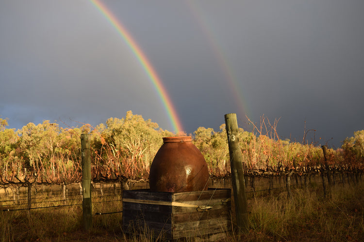 Qvevri Wines